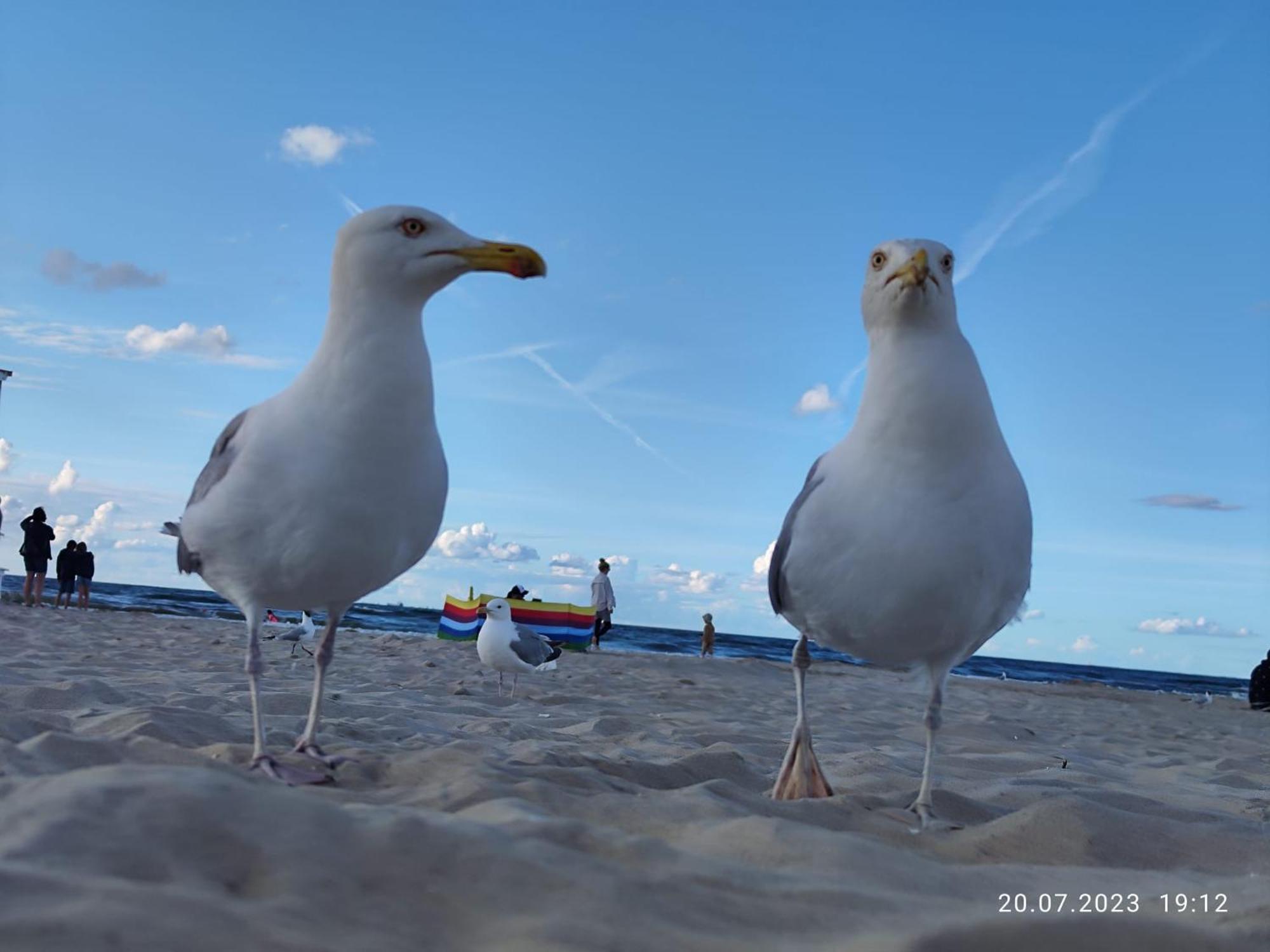 Promien Slonca Hotel Świnoujście Buitenkant foto